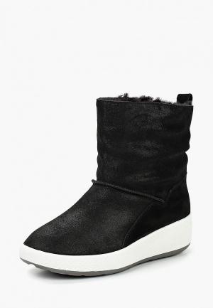 Полусапоги King Boots. Цвет: черный