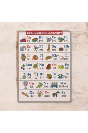 Табличка Французский алфавит Декоративная жесть. Цвет: мульти 30х40