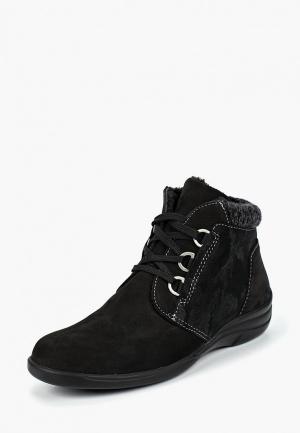 Ботинки Dali. Цвет: черный