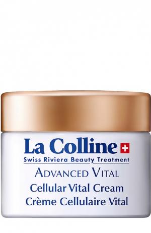 Восстанавливающий крем для лица Cellular Vital Cream La Colline. Цвет: бесцветный