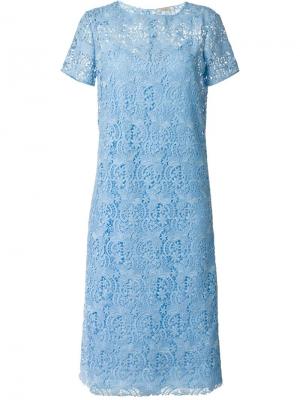 Гипюровое платье с короткими рукавами Nina Ricci. Цвет: синий