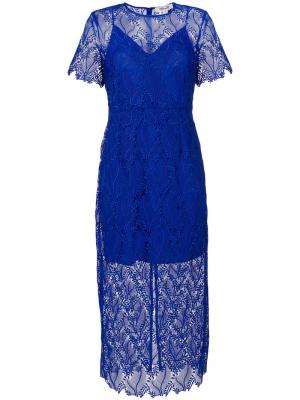 Кружевное платье мини Dvf Diane Von Furstenberg. Цвет: синий