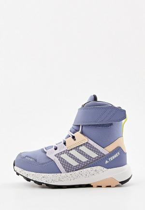 Ботинки трекинговые adidas. Цвет: фиолетовый