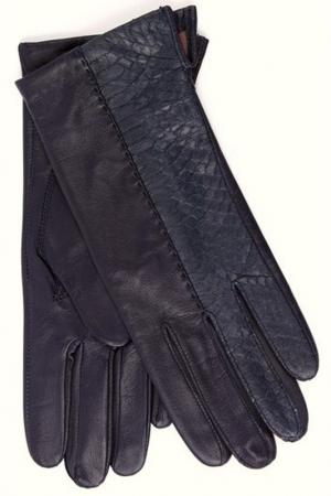 Перчатки Dali Exclusive. Цвет: чернильный